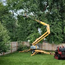 Best Tree Mulching  in Corunna, MI