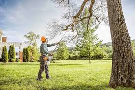 Best Tree Trimming and Pruning  in Corunna, MI